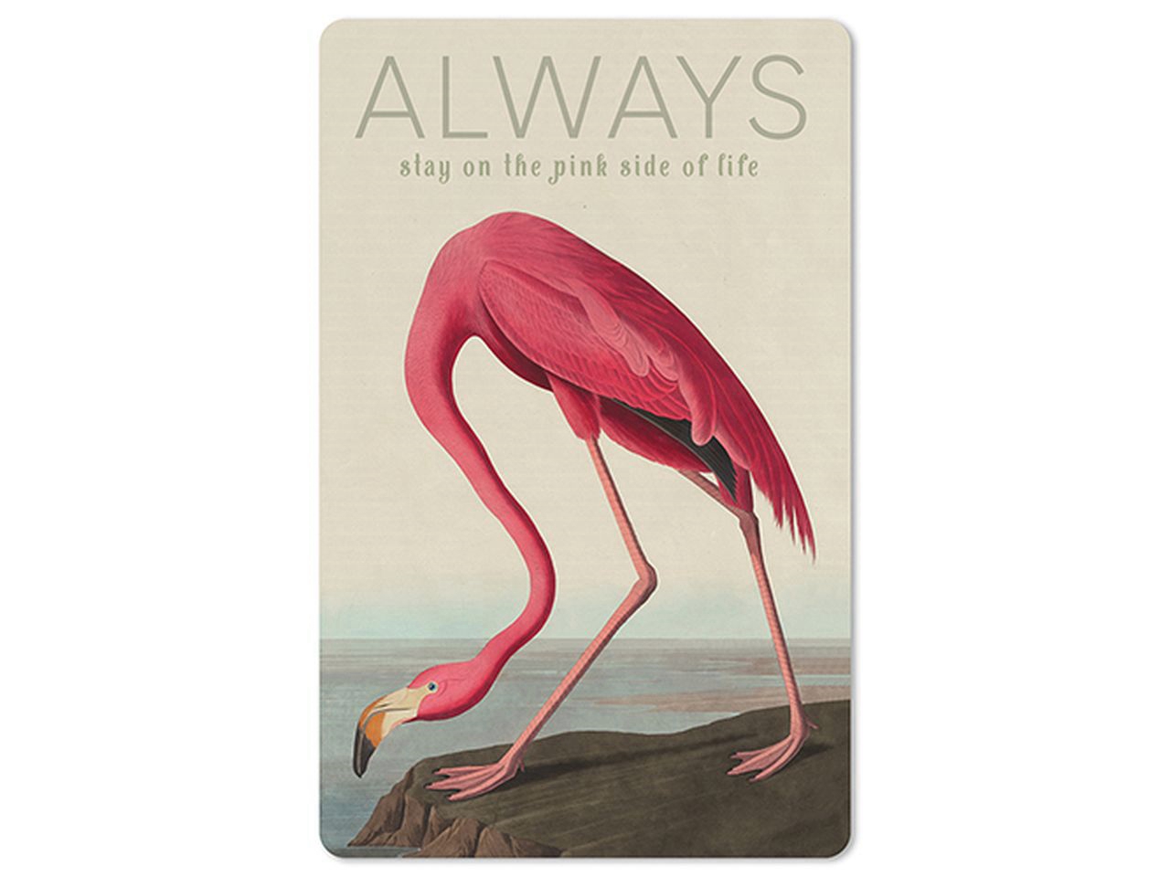 Cartolina Lunacard - Flamingo